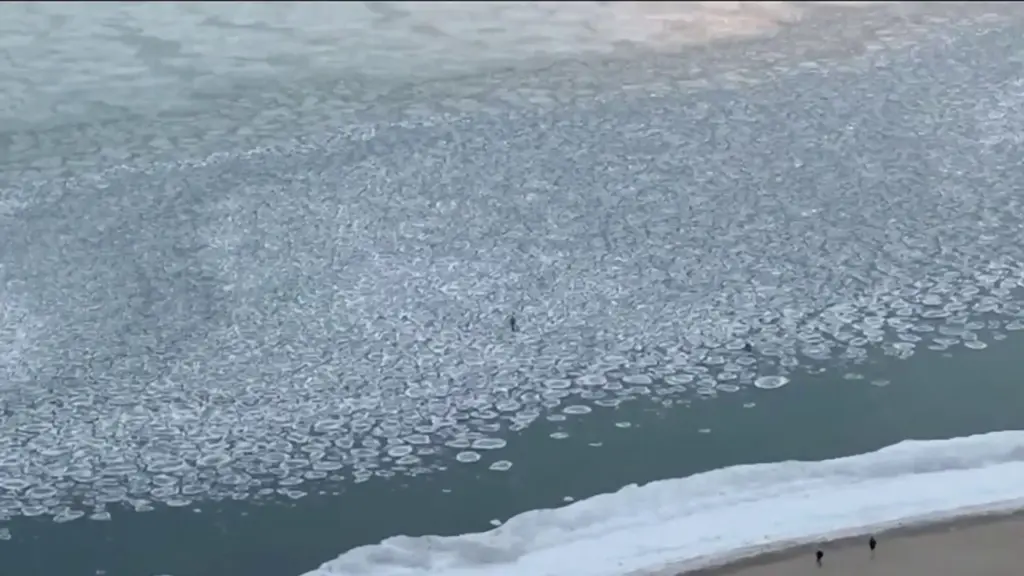 Hielo pancake en el lago Michigan frente a Chicago provoca advertencias por riesgo de caída y agua helada
