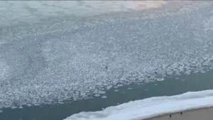 Hielo pancake en el lago Michigan frente a Chicago provoca advertencias por riesgo de caída y agua helada
