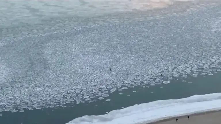 Hielo pancake en el lago Michigan frente a Chicago provoca advertencias por riesgo de caída y agua helada