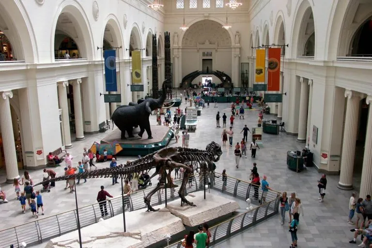 Museos gratis en Chicago 2026 incluyen Shedd Aquarium, Adler Planetarium y Art Institute para residentes de Illinois