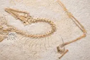 Reconstrucción del Archaeopteryx en Chicago confirma la evolución de aves desde dinosaurios con nuevas técnicas científicas modernas