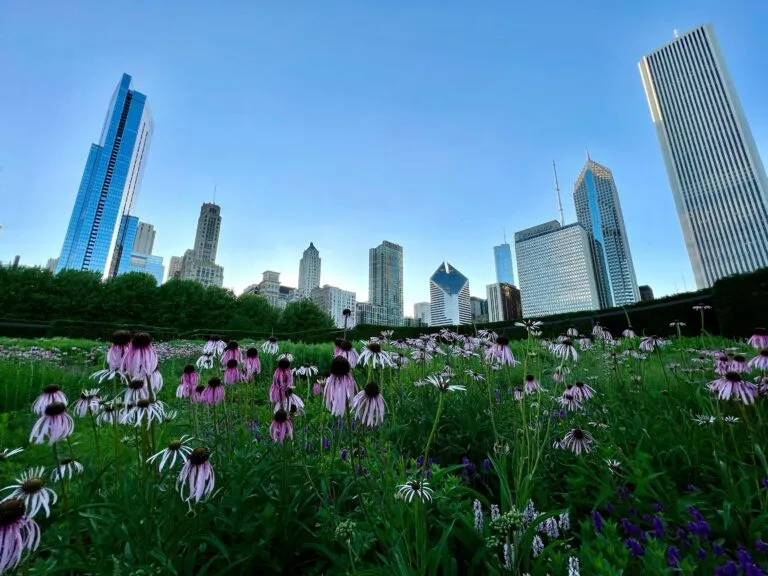Clima en Chicago hoy con temperaturas frescas, viento moderado y nubosidad parcial en marzo
