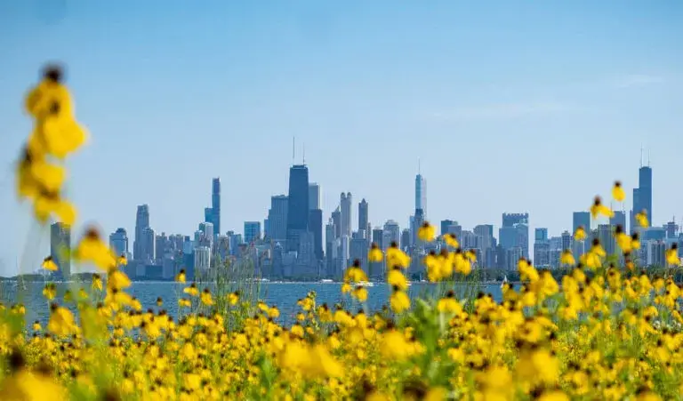 Vista de Chicago en primavera durante April Showers Chicago con calles mojadas, paraguas y parques florecientes