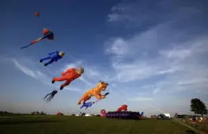 Festival de cometas Bloomsbury Farms en Estados Unidos con cometas gigantes y familias disfrutando experiencias al aire libre