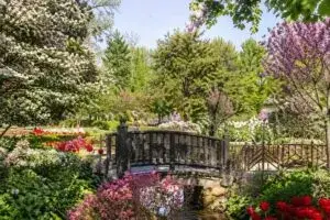 Festival Lilac Time Lombard en Chicago con jardines en primavera y visitantes disfrutando turismo local