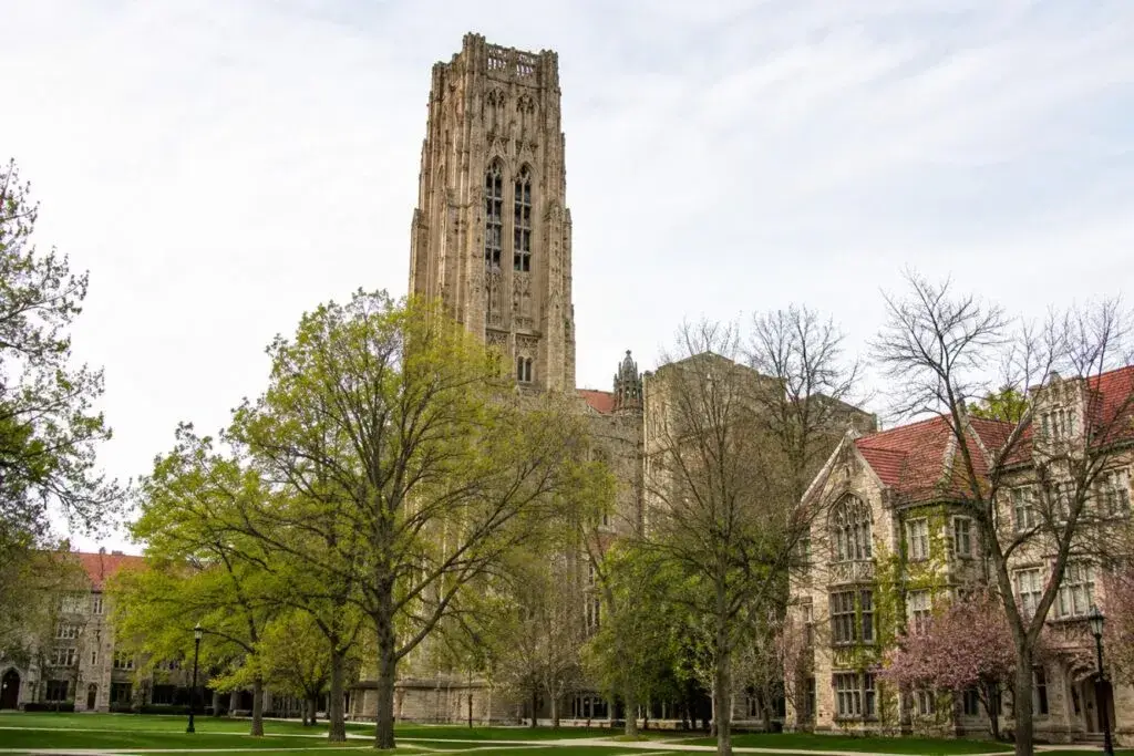 Estudiantes en campus universitario de Chicago tras anuncio de matrícula gratuita para familias de ingresos limitados