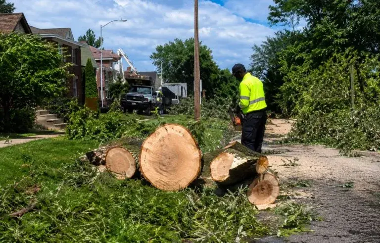 Autoridades alertan sobre estafas tras tormentas en Chicago y riesgos al contratar reparaciones de emergencia