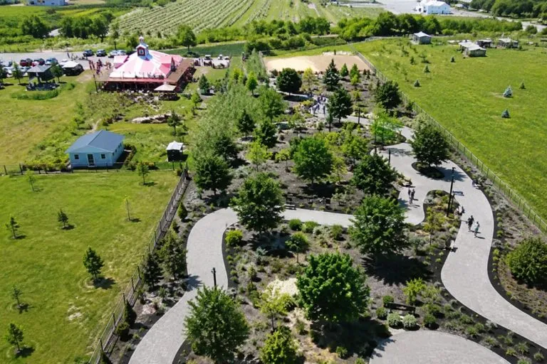 Festival de los Arándanos cerca de Chicago con gastronomía y actividades familiares en Geneva Illinois