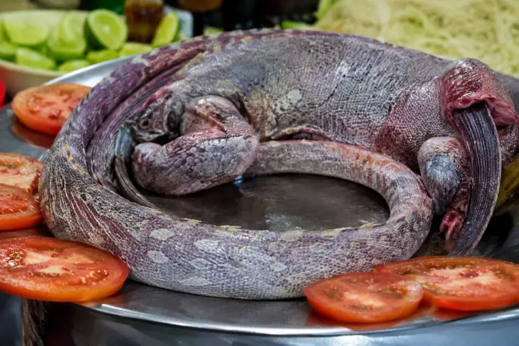 Iguana al estilo Guerrero como símbolo de tradición mexicana e identidad cultural en Chicago