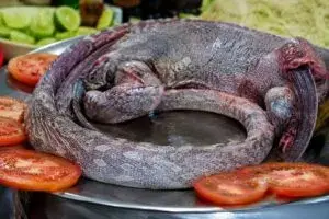 Iguana al estilo Guerrero como símbolo de tradición mexicana e identidad cultural en Chicago