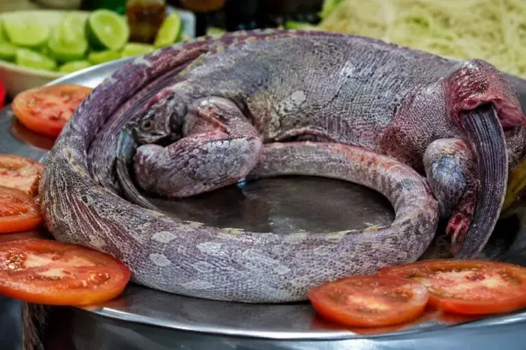 Iguana al estilo Guerrero como símbolo de tradición mexicana e identidad cultural en Chicago