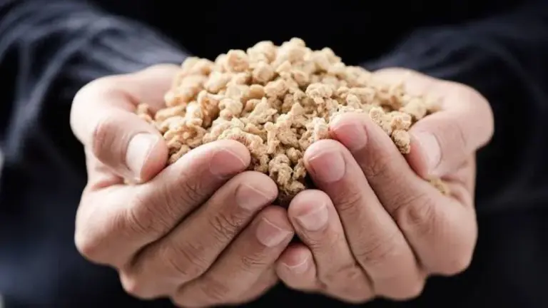 La soya se dispara en Chicago y genera optimismo