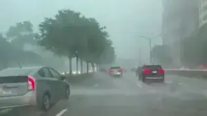 Tormenta en Chicago derriba árboles y cables eléctricos, mientras residentes y autoridades realizan labores de limpieza en Stickney.