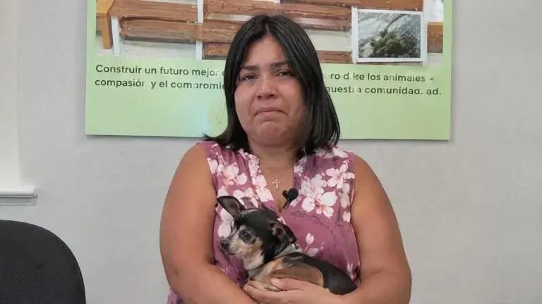 Perrita desaparecida en Chicago vuelve con su dueña después de 12 años gracias al microchip y al trabajo de voluntarios.