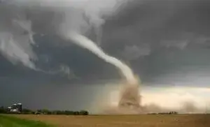 Tornados en Chicago dejaron árboles caídos, viviendas dañadas y labores de limpieza tras las fuertes tormentas en Illinois.