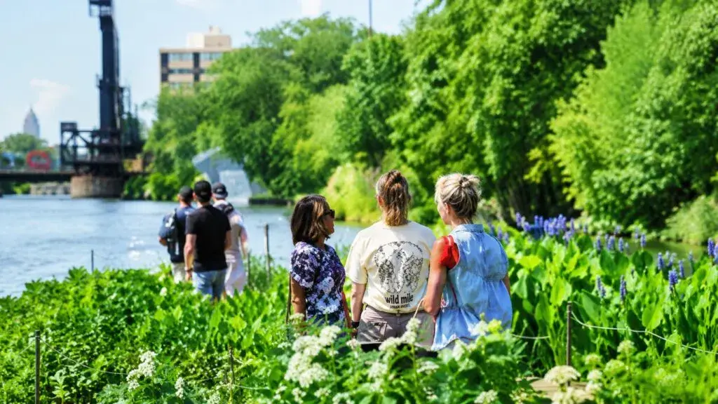 Wild Mile transforma el río Chicago con jardines flotantes que recuperan hábitats y apoyan la biodiversidad urbana.