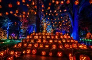Festival de Halloween cerca de Chicago con miles de calabazas talladas e iluminadas durante un recorrido nocturno en Lake Zurich.