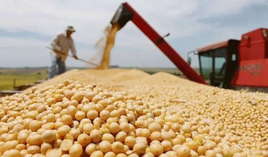 Mercado de granos de Chicago con maíz, soja y trigo vinculados al comercio agrícola de América Latina.